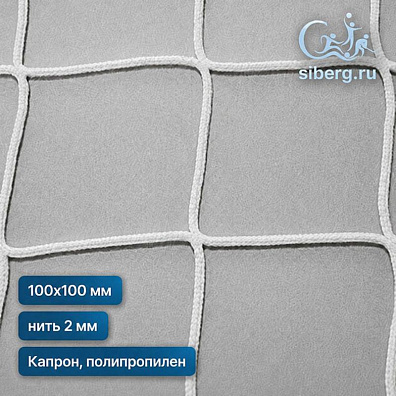 Страховочная сетка квадратная ячейка 100х100 мм нить 2 мм (капрон, полипропилен)